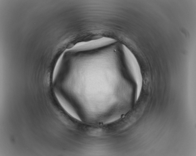 X0000113540454200910091246