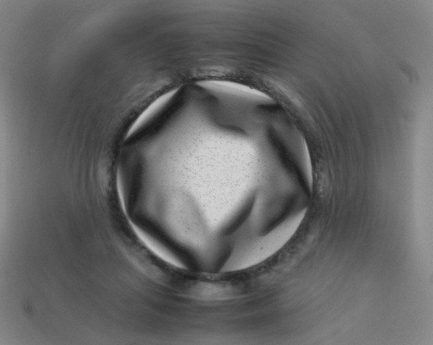 X0000113540455200910091246