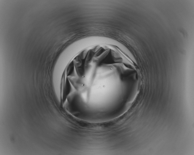 X0000113540456200910091246