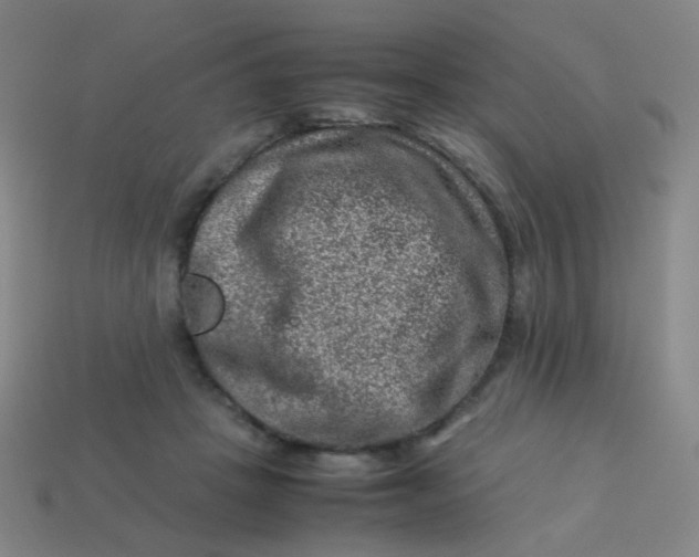 X0000113540457200910091246