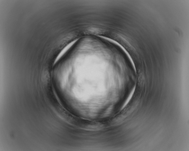 X0000113540459200910091246