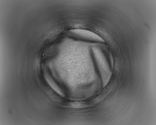 X0000113540461200910091246