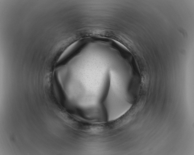X0000113540462200910091246