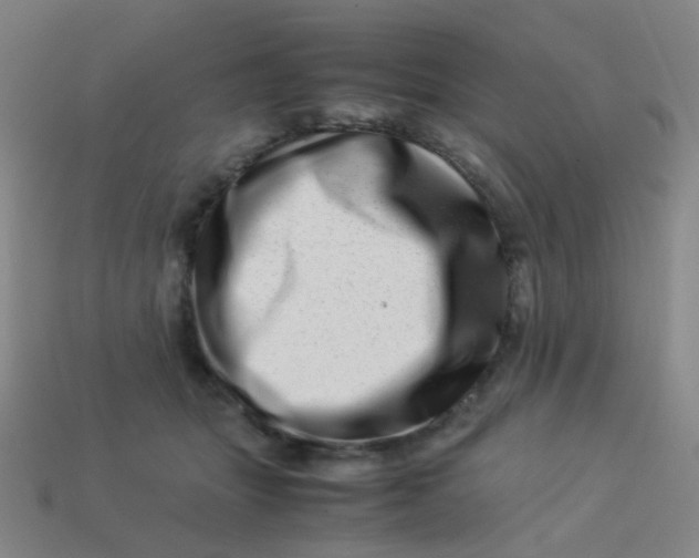 X0000113540463200910091246