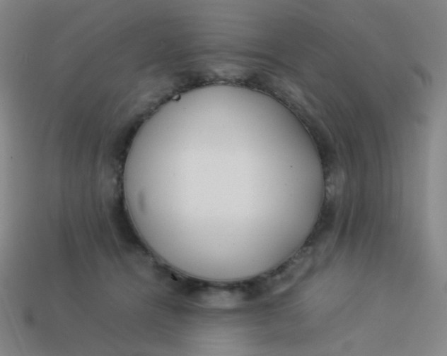 X0000113540464200910091247