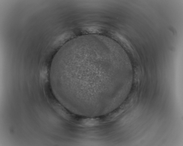 X0000113540465200910091247