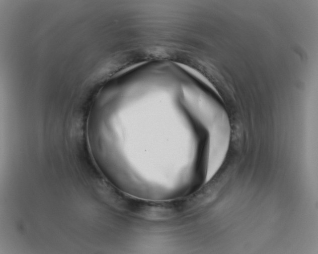 X0000113540466200910091247
