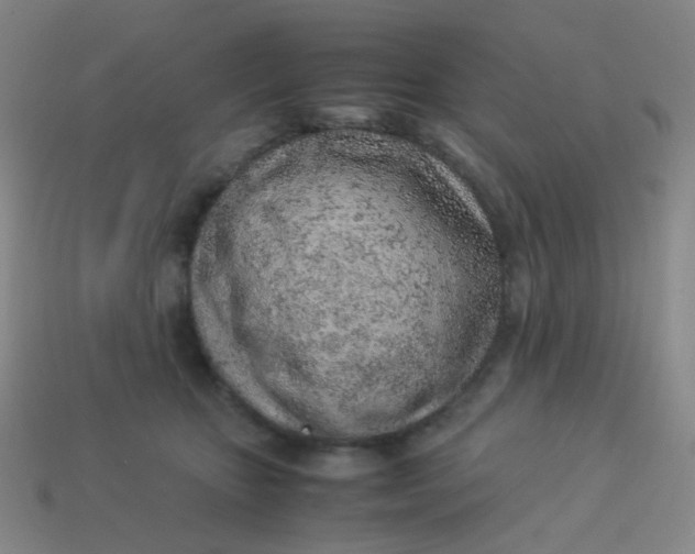 X0000113540467200910091247