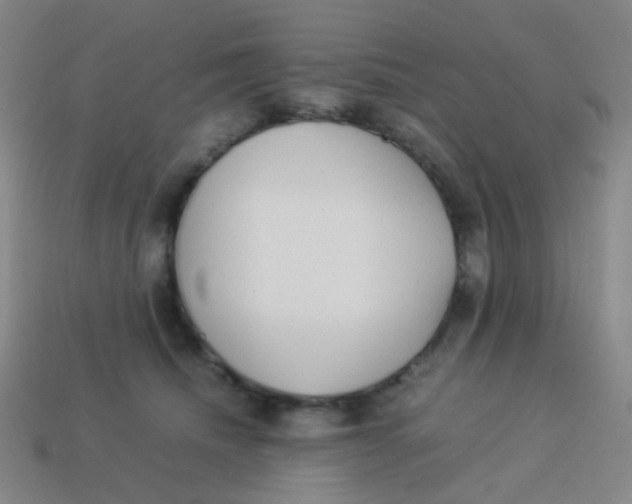 X0000113540468200910091247