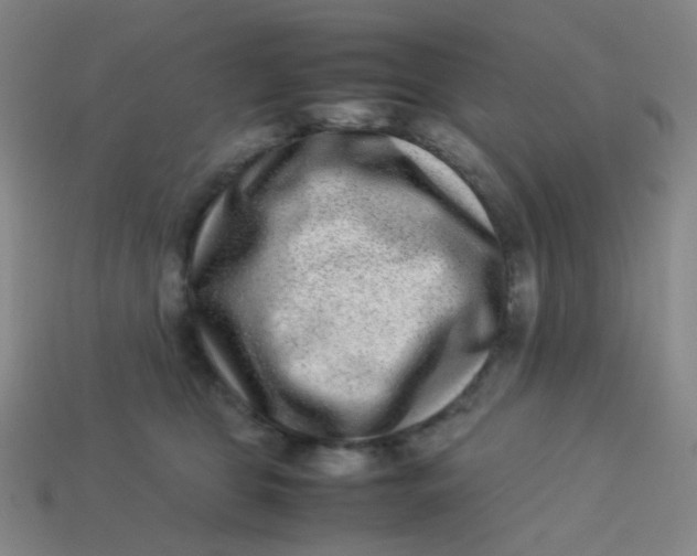 X0000113540469200910091247