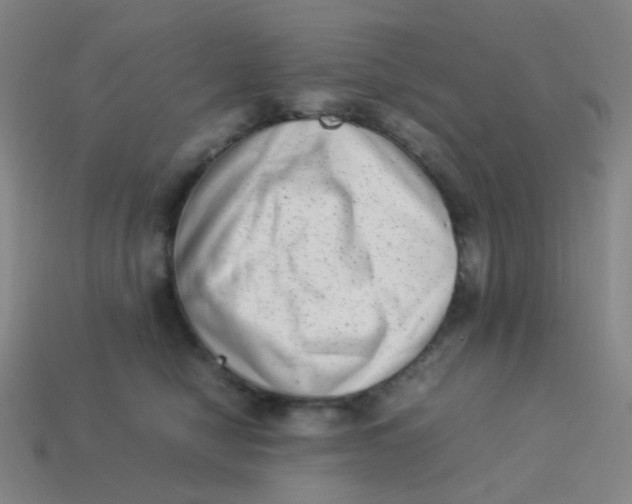 X0000113540470200910091247