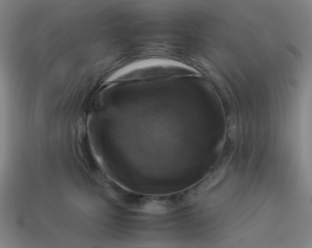 X0000113540471200910091247