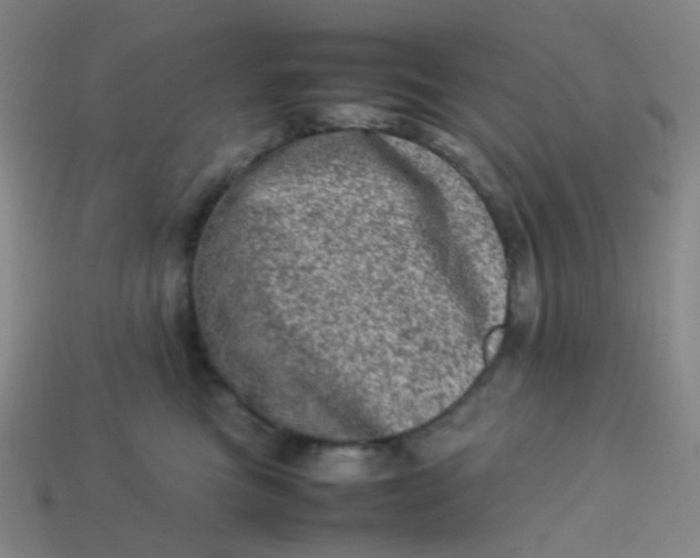 X0000113540473200910091247