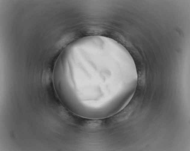 X0000113540474200910091247