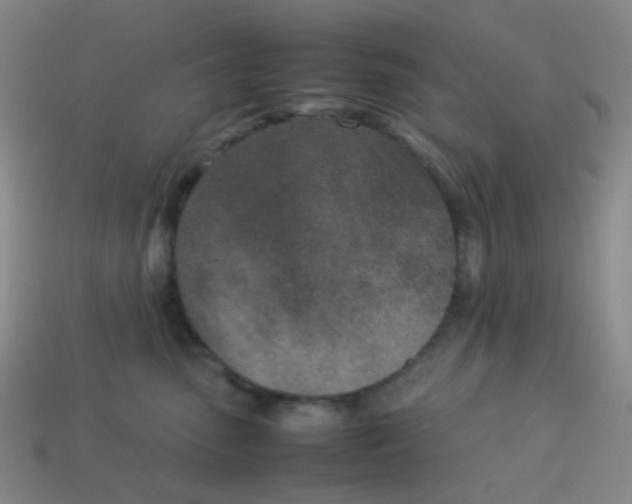 X0000113540475200910091247