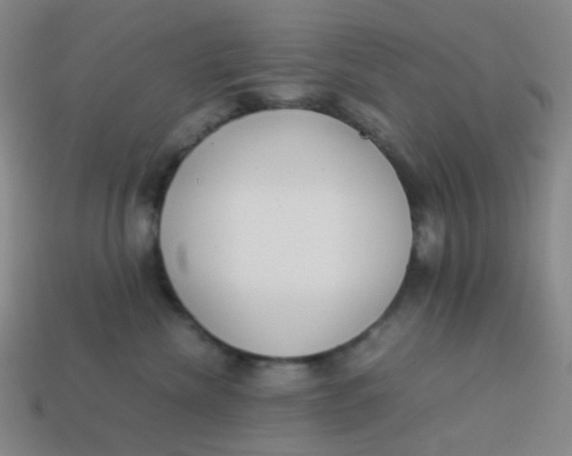 X0000113540476200910091247