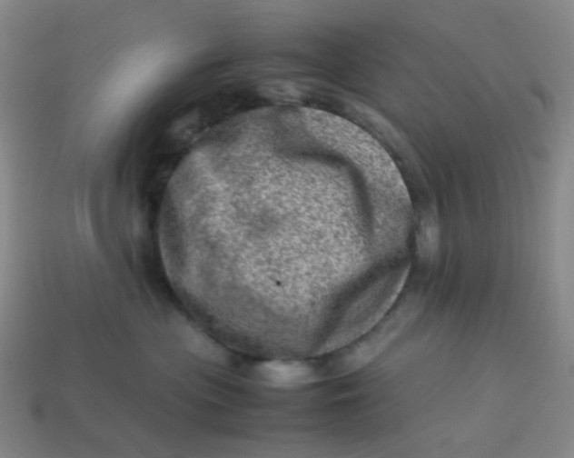 X0000113540477200910091247