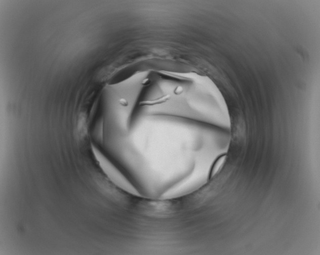 X0000113540478200910091247