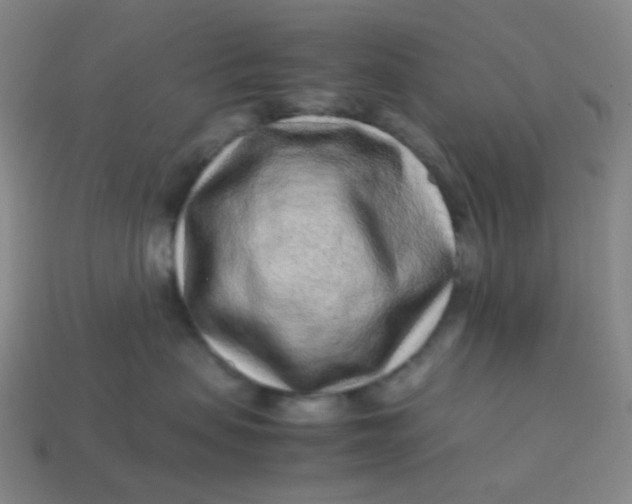 X0000113540479200910091247