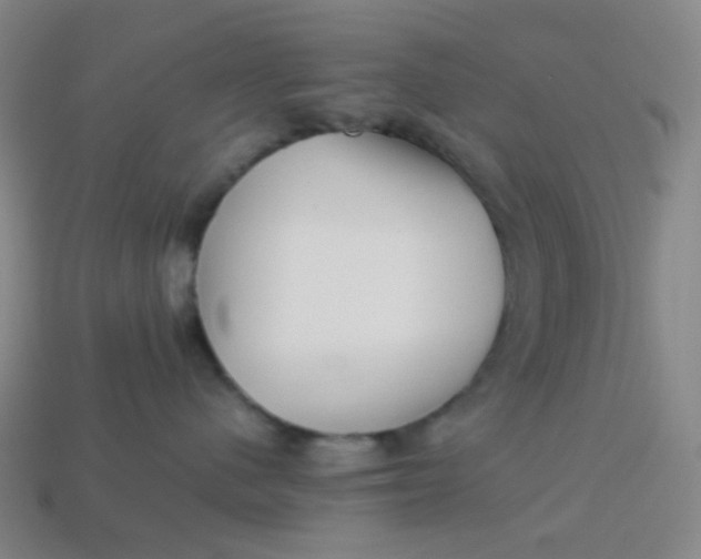 X0000113540480200910091247
