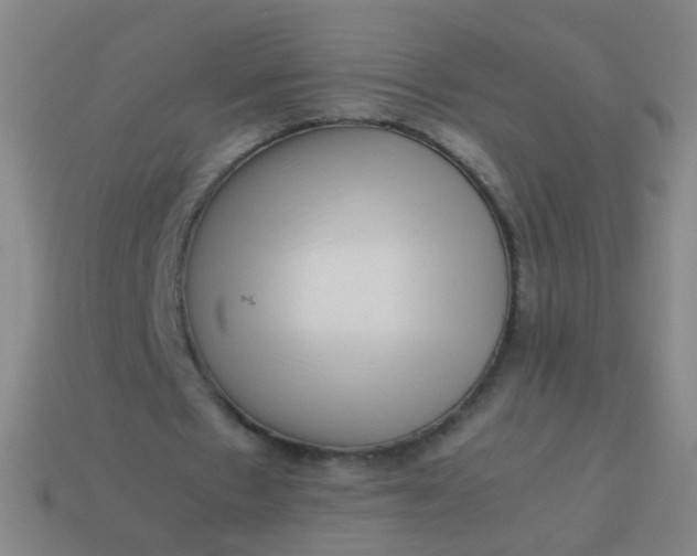 X0000113540481200910091246