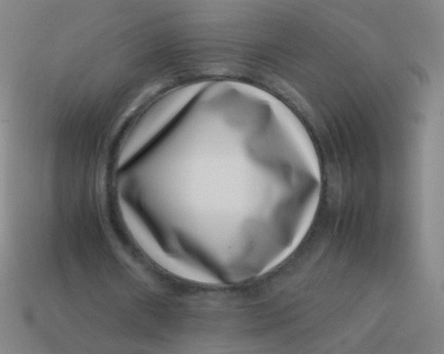 X0000113540482200910091246
