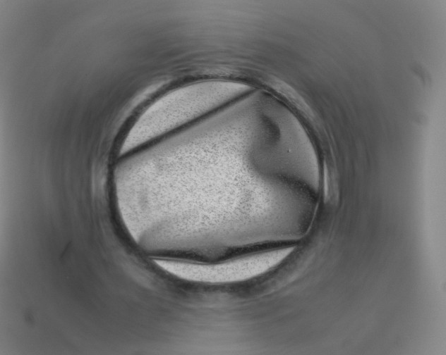 X0000113540483200910091246
