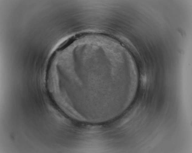 X0000113540484200910091246