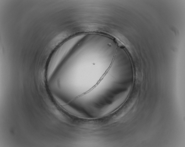 X0000113540485200910091246