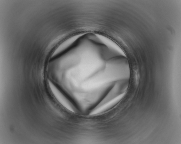 X0000113540486200910091246