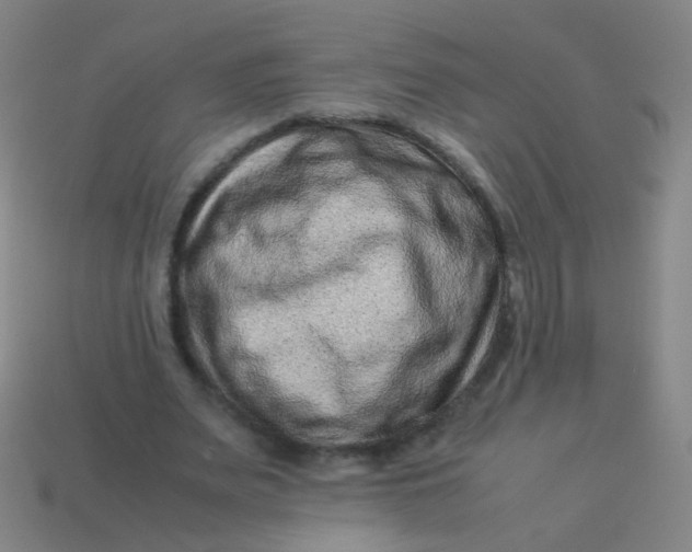 X0000113540487200910091246