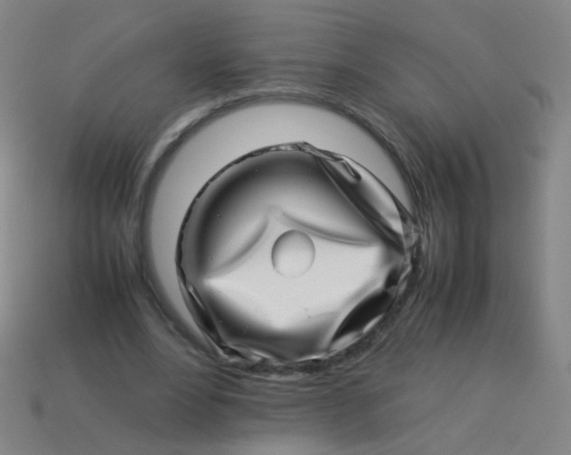 X0000113540488200910091246