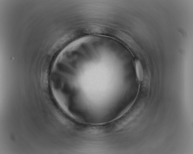 X0000113540489200910091246