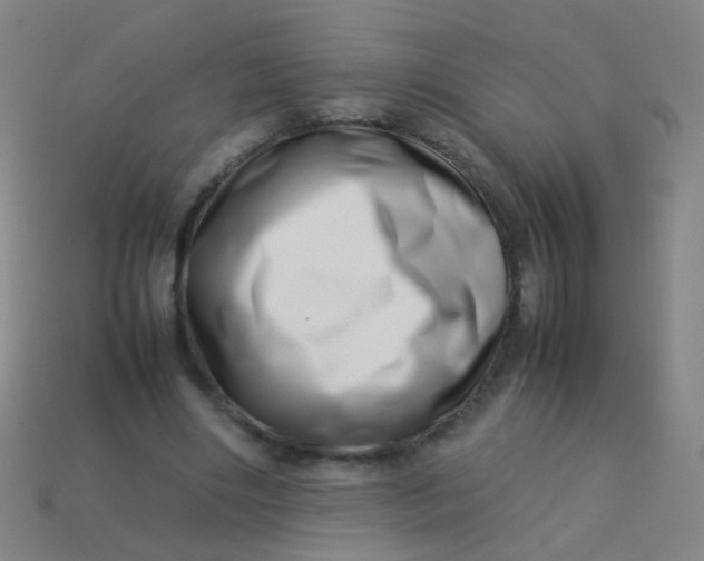 X0000113540490200910091246
