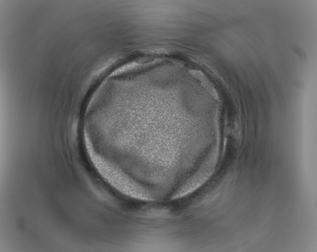 X0000113540491200910091246