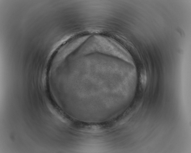 X0000113540492200910091246