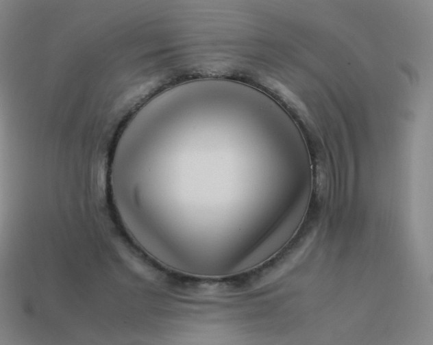 X0000113540493200910091246