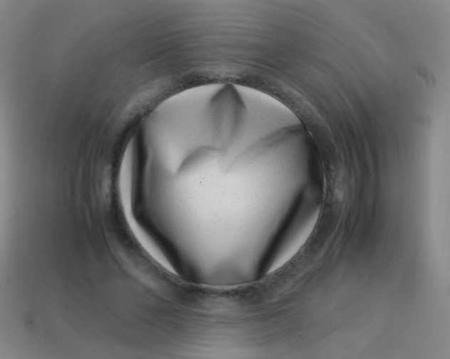 X0000113540494200910091246