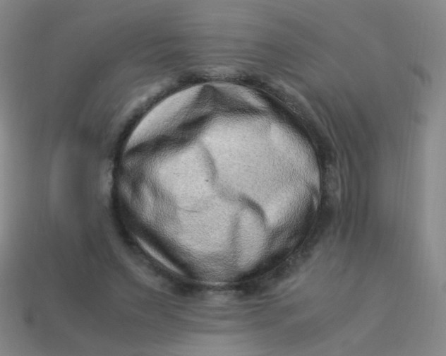 X0000113540495200910091246