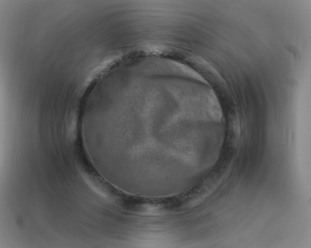 X0000113540496200910091246