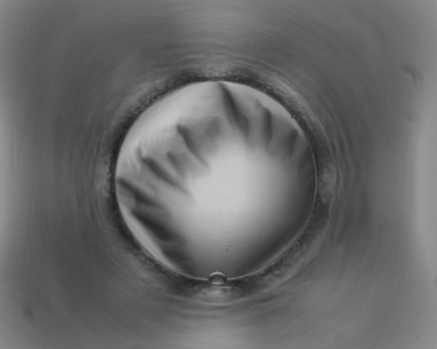 X0000113540497200910091246