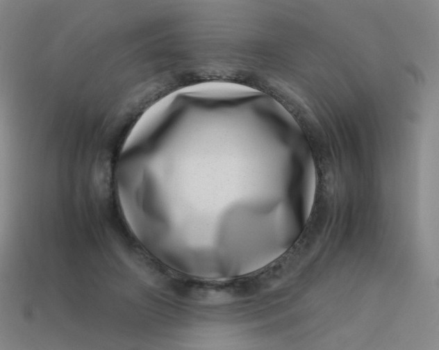 X0000113540498200910091246