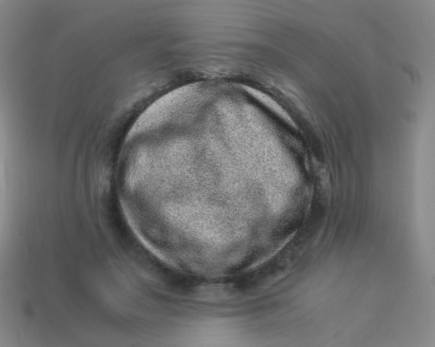 X0000113540499200910091246