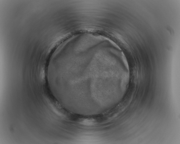X0000113540500200910091246