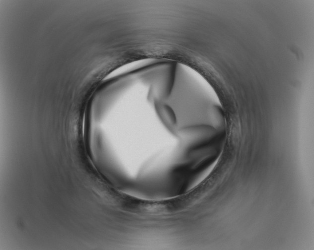 X0000113540501200910091246