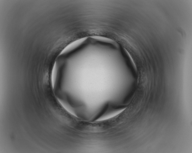 X0000113540502200910091246