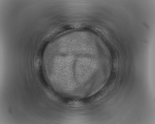 X0000113540503200910091246