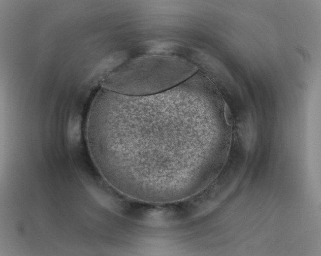 X0000113540504200910091246