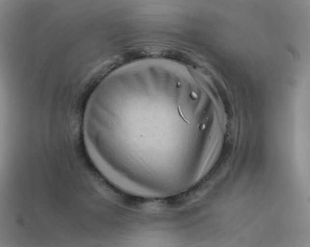 X0000113540505200910091246