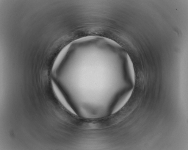 X0000113540506200910091246